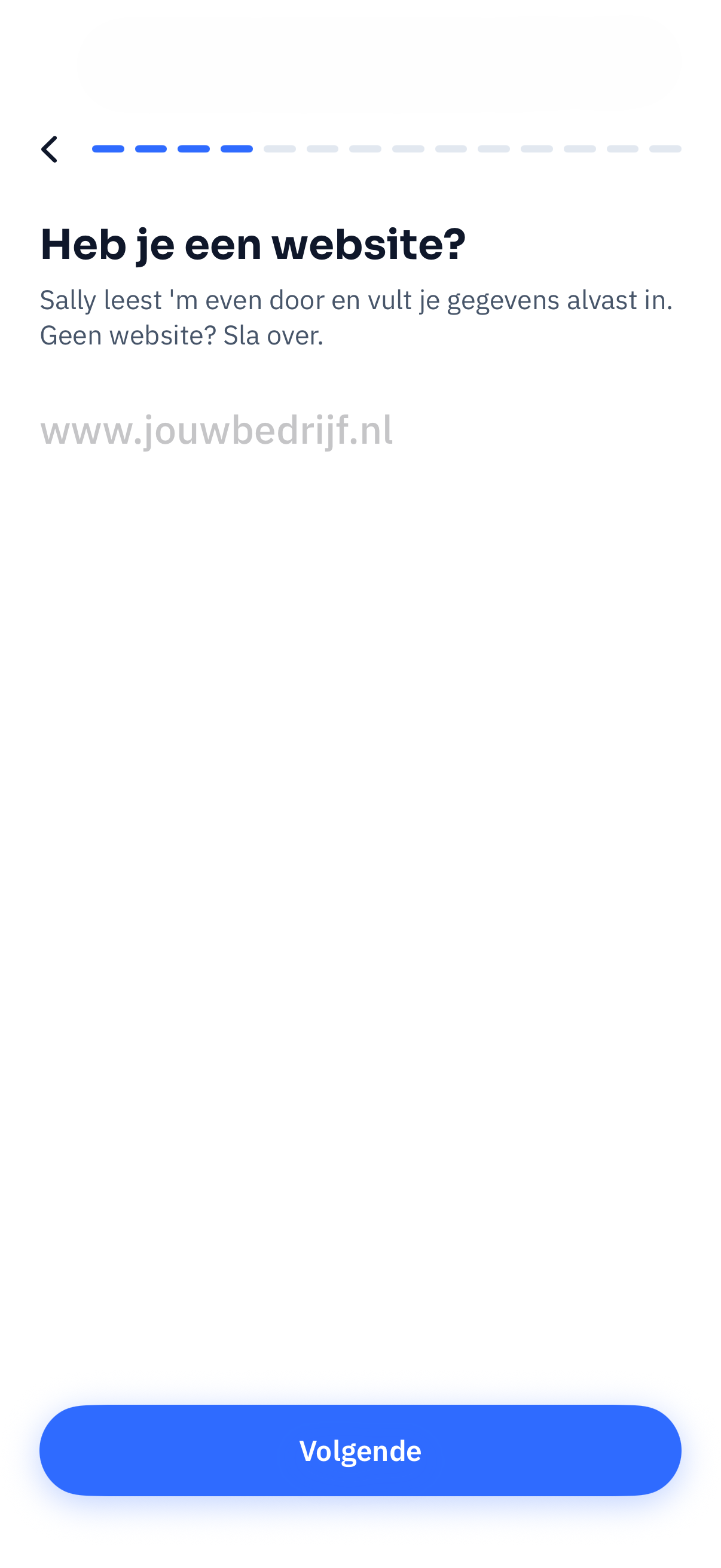 Scherm waarin je je website invult
